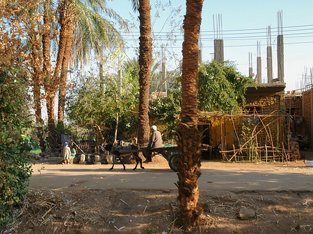 Menschen - Landesinnere (Luxor)