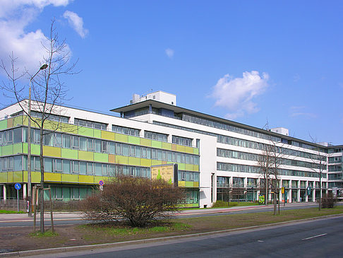 Technische Universität - Sachsen (Dresden)